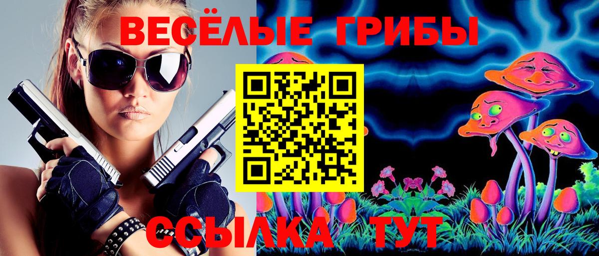 Псилоцибиновые грибы Cubensis  наркота  Ревда  Вход с VPN 