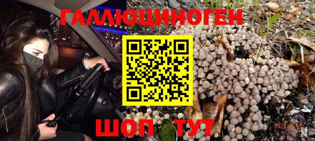 Псилоцибиновые грибы мухоморы Ревда